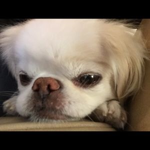 Meet your Posher, Becky